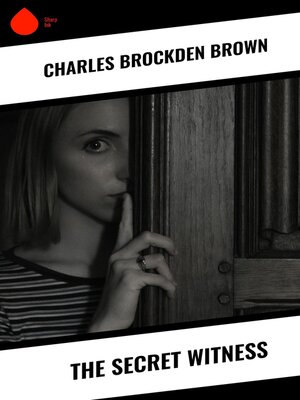 cover image of The Secret Witness